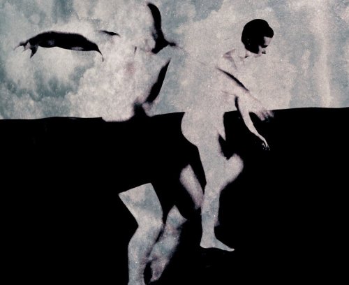 8darius_jurevicius_nuslepti_vil