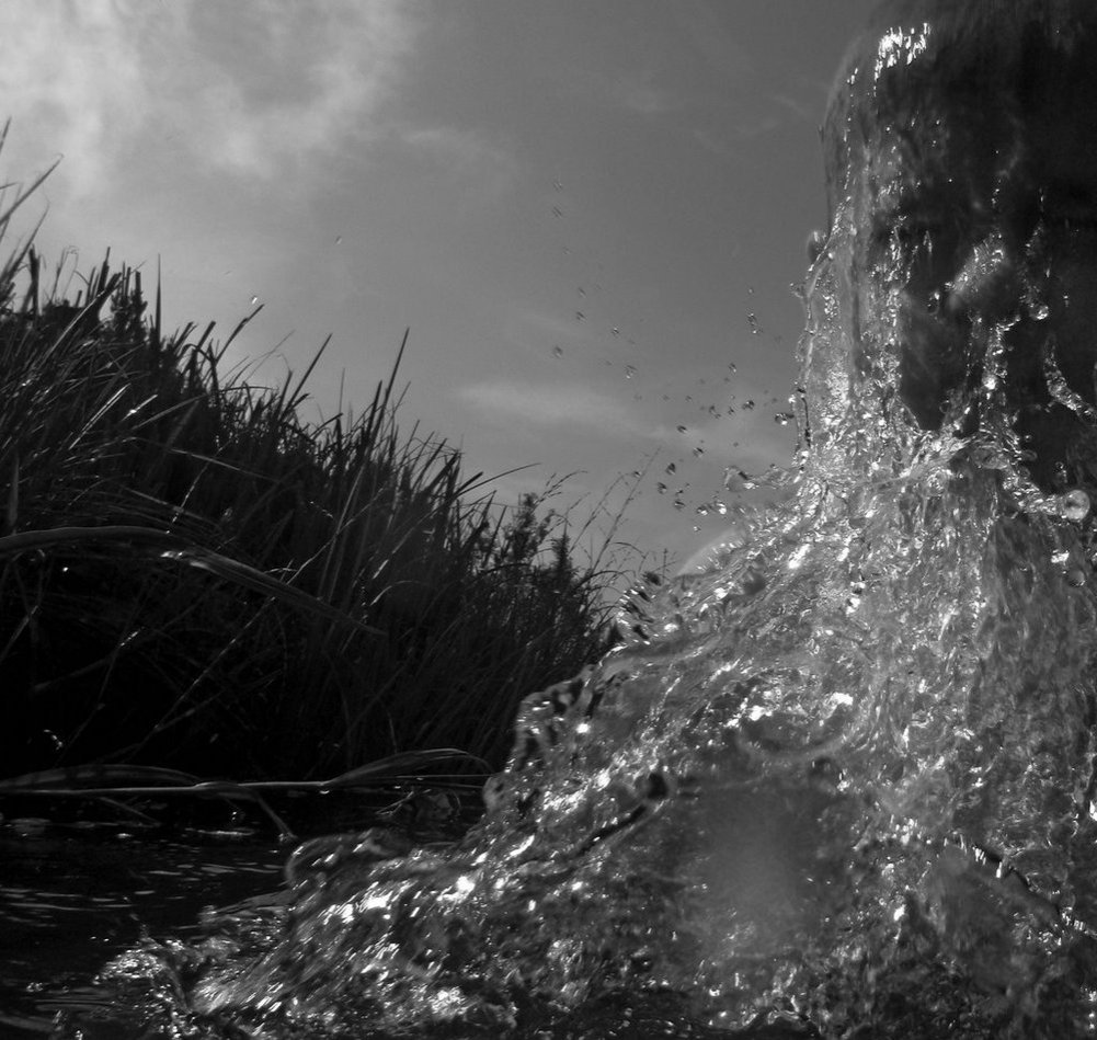 Darius_jurevicius_p6280088_2_1